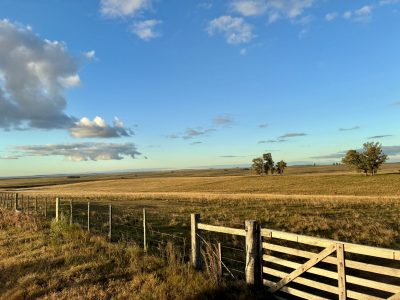 Venta Ganadero – Agrícola en Paysandú