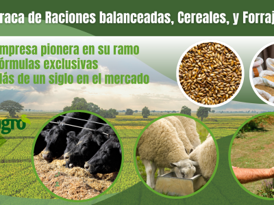 Barraca de Raciones, forrajes, y cereales