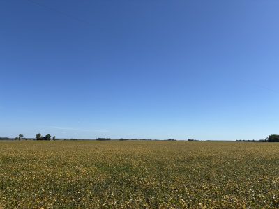 Venta Agrícola – Ganadero en Paysandú